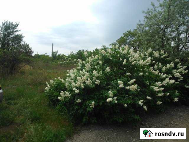 Участок СНТ, ДНП 6 сот. на продажу в Таганроге Таганрог - изображение 1