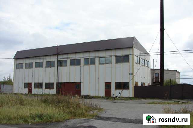 Помещение свободного назначения, 2000 кв.м. Петухово - изображение 1