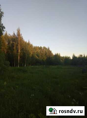 Участок СНТ, ДНП 30 сот. на продажу в Иваново Иваново - изображение 1