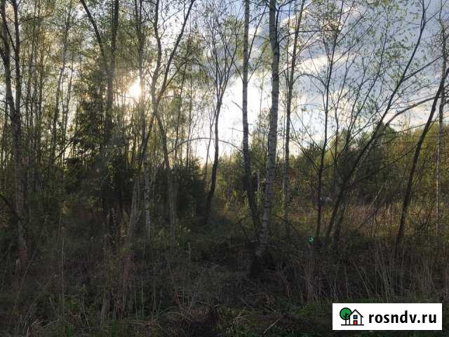 Участок СНТ, ДНП 12 сот. на продажу в Дорохово Дорохово - изображение 1