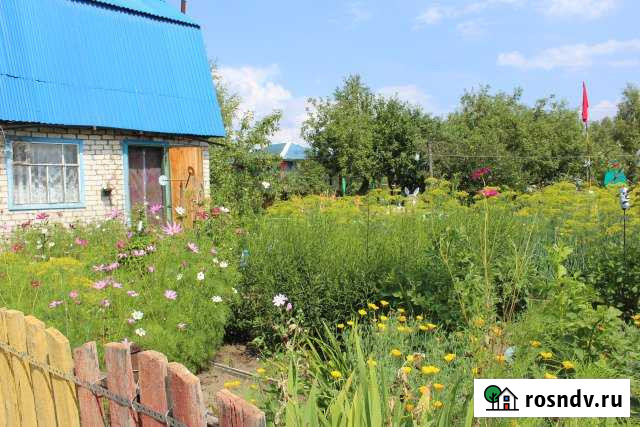 Дача 30 м² на участке 6 сот. на продажу в Гидроторфе Гидроторф - изображение 1