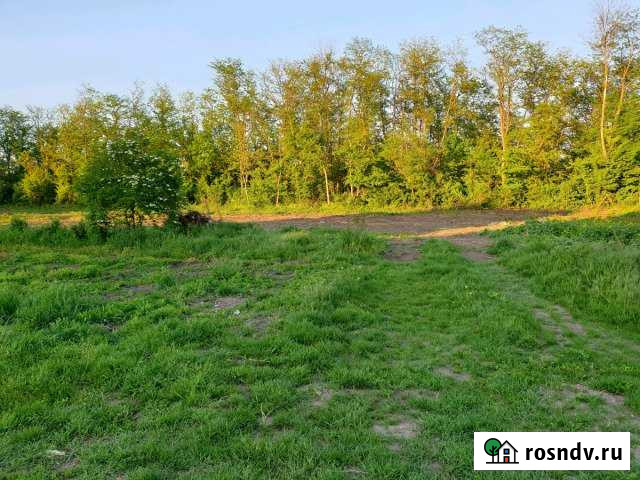 Участок ИЖС 6 сот. на продажу в Заветном Заветный - изображение 1