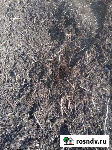 Участок ИЖС 12 сот. на продажу в Верхнеяркеево Верхнеяркеево - изображение 1