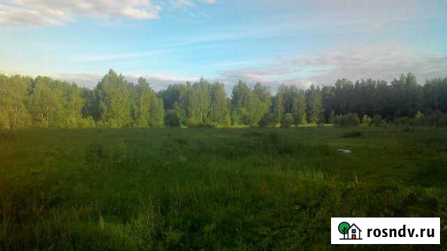 Участок СНТ, ДНП 329 сот. на продажу в Малоярославце Малоярославец - изображение 1