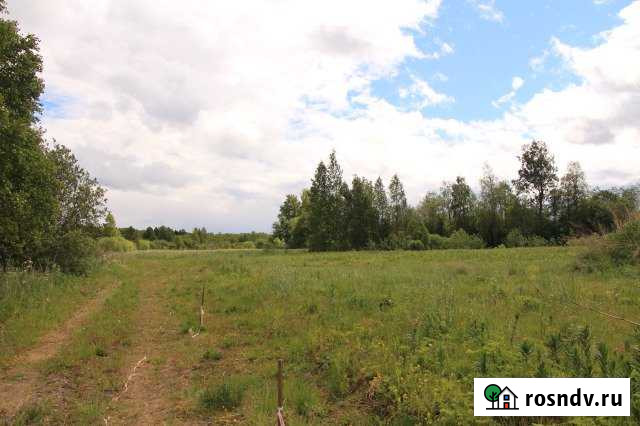 Участок СНТ, ДНП 12 сот. на продажу в Кузнечном Кузнечное - изображение 1