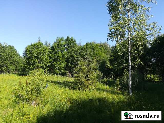 Участок ИЖС 30 сот. на продажу в Демянске Демянск - изображение 1