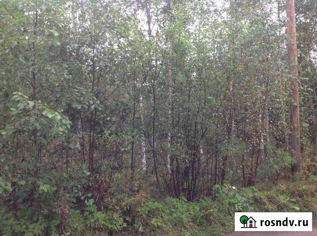 Участок СНТ, ДНП 10 сот. на продажу в Каменногорске Каменногорск - изображение 1