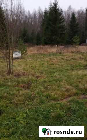 Участок СНТ, ДНП 6 сот. на продажу в Выборге Выборг - изображение 1