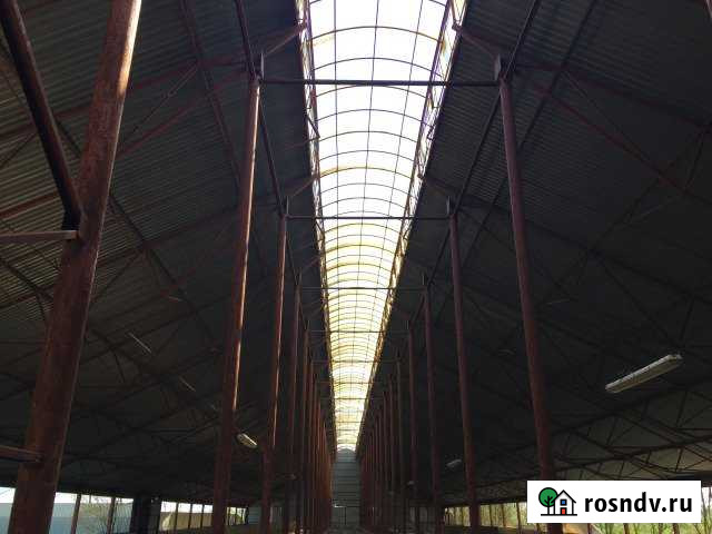 Производственное помещение, 3762 кв.м. Мингрельская - изображение 1