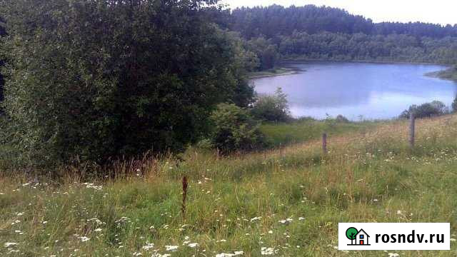 Участок ИЖС 10 сот. на продажу в Демянске Демянск - изображение 1