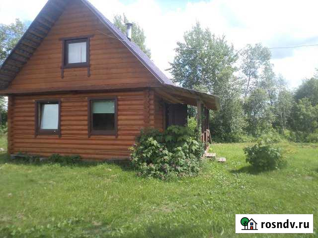 Дом 70 м² на участке 20 сот. в аренду посуточно в Сольцах Сольцы - изображение 1