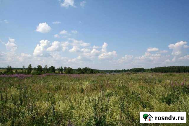 Участок СНТ, ДНП 600 сот. на продажу в Бичуре Бичура - изображение 1