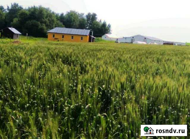 Дом 120 м² на участке 1000 сот. на продажу в Веневе Венев - изображение 1