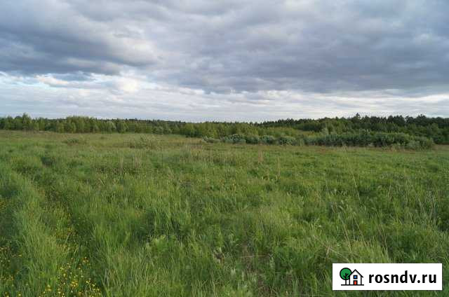 Участок СНТ, ДНП 12 сот. на продажу в Детчино Детчино - изображение 1