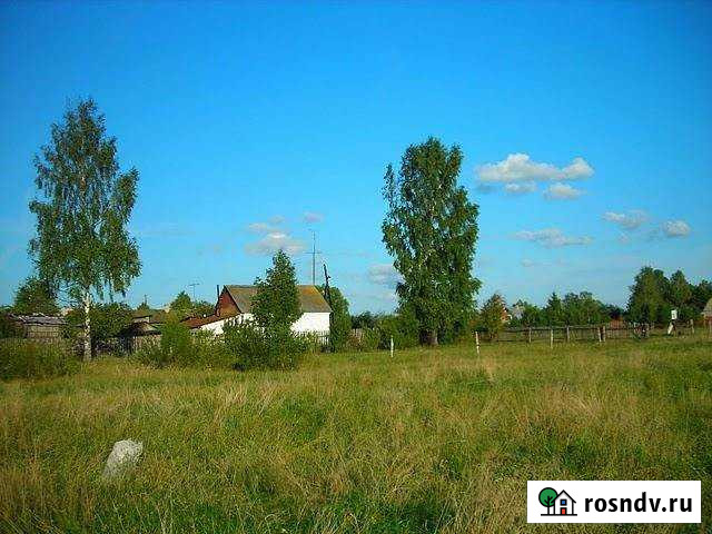 Участок ИЖС 20 сот. на продажу в Костерево Костерево - изображение 1