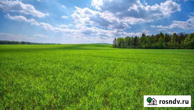 Участок ИЖС 500 сот. на продажу в Березовке Красноярского края Березовка - изображение 1