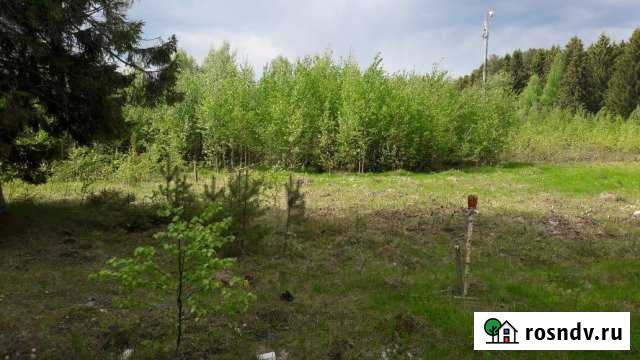 Участок ИЖС 23 сот. на продажу в Чермозе Чермоз - изображение 1