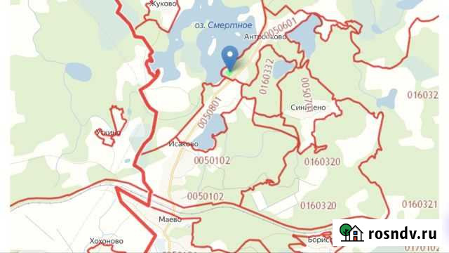 Участок ИЖС 90 сот. на продажу в Новосокольниках Новосокольники - изображение 1