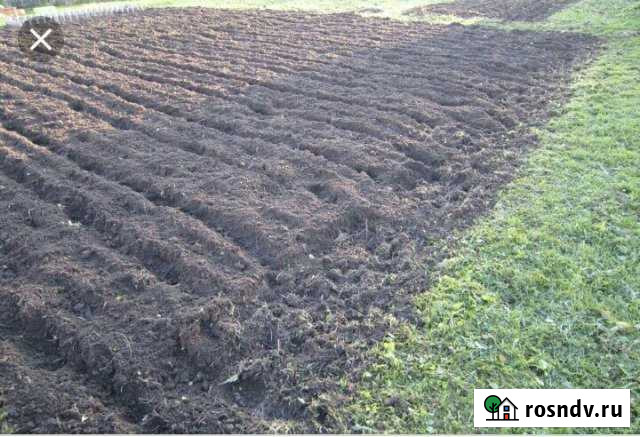 Участок СНТ, ДНП 14 сот. в аренду в Брюховецкой Брюховецкая - изображение 1