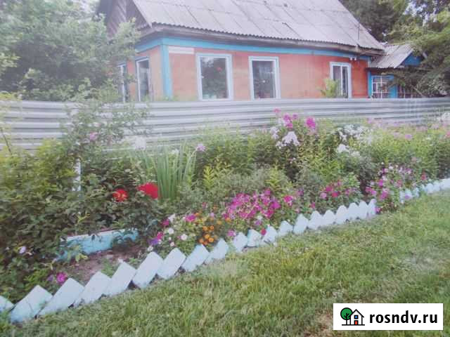 Дом 50 м² на участке 50 сот. на продажу в Вяземском Вяземский - изображение 1