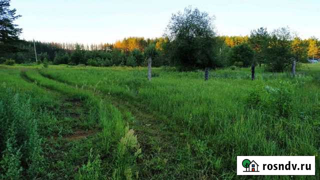 Участок ИЖС 10 сот. на продажу в Велиже Велиж - изображение 1