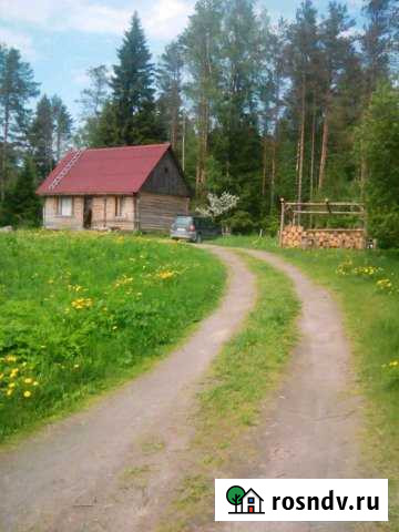 Дом 60 м² на участке 30 сот. в аренду посуточно в Сортавале Сортавала - изображение 1