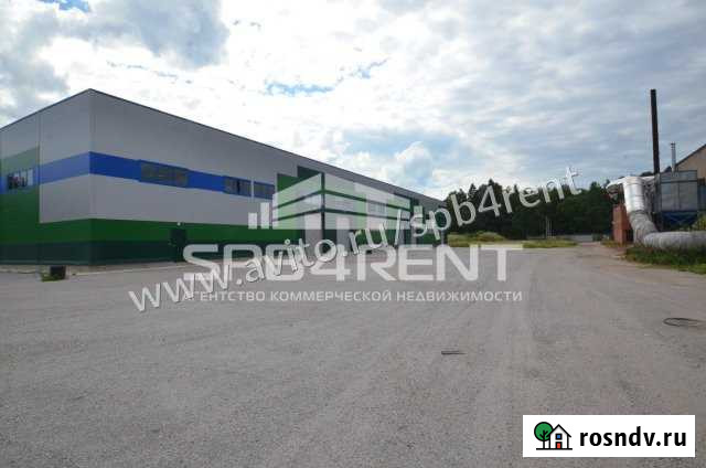 Производственное помещение до 4800 кв.м Тосно - изображение 1