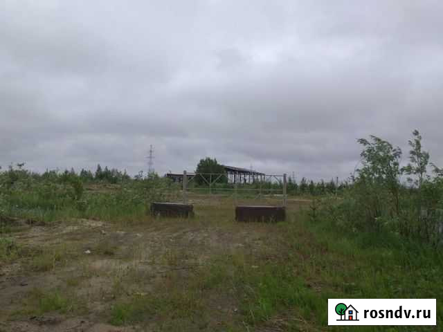 Участок промназначения 80 сот. на продажу в Губкинском Губкинский - изображение 1