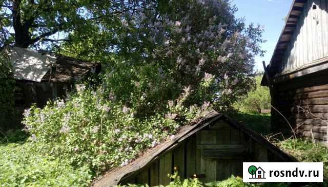 Участок СНТ, ДНП 50 сот. на продажу в Перемышле Перемышль - изображение 1