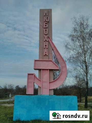 Участок ИЖС 10 сот. на продажу в Любохне Любохна - изображение 1