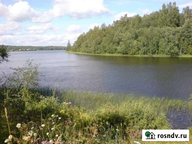 Участок ИЖС 27 сот. на продажу в Демянске Демянск - изображение 1