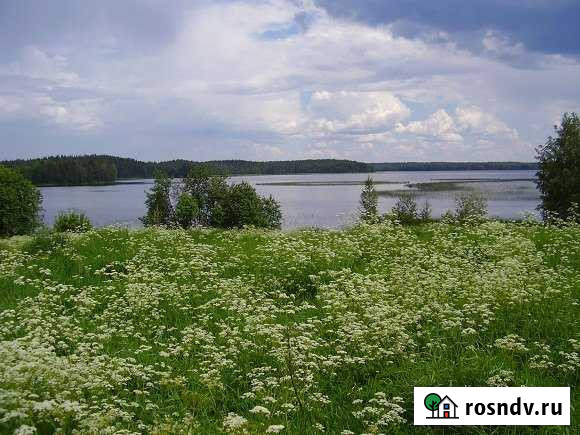 Участок СНТ, ДНП 5000 сот. на продажу в Питкяранте Питкяранта - изображение 1