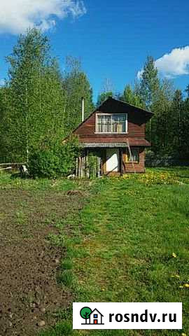 Дача 40 м² на участке 15 сот. на продажу в Новой Ладоге Новая Ладога - изображение 1