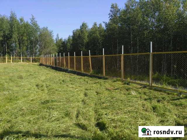 Участок СНТ, ДНП 13 сот. в аренду в Пойковском Пойковский - изображение 1