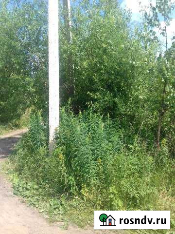 Участок СНТ, ДНП 6 сот. на продажу в Кингисеппе Кингисепп - изображение 1