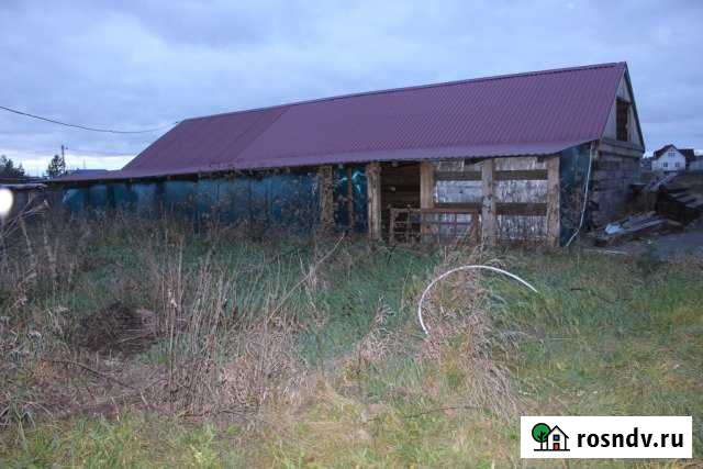 Участок СНТ, ДНП 15 сот. на продажу в Николо-Павловском Николо-Павловское - изображение 1