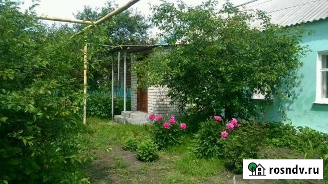 Дом 50 м² на участке 9 сот. на продажу в Мучкапском Мучкапский - изображение 1