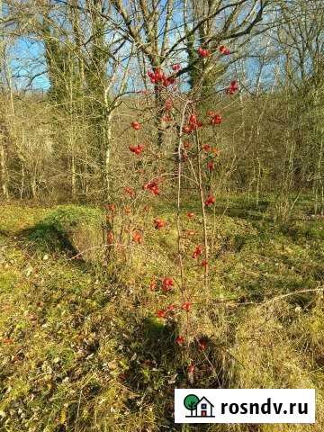 Участок СНТ, ДНП 408 сот. на продажу в Тульском Тульский - изображение 1