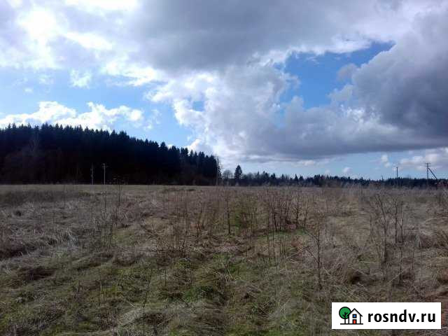 Участок ИЖС 16 сот. на продажу в Гатчине Гатчина - изображение 1