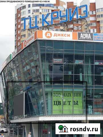 Помещение свободного назначения, 42.4 кв.м. Пушкино - изображение 1