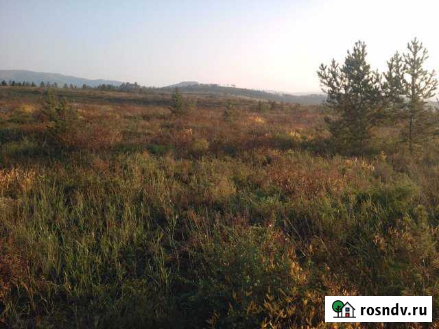 Участок СНТ, ДНП 10 сот. на продажу в Горняке Горняк - изображение 1