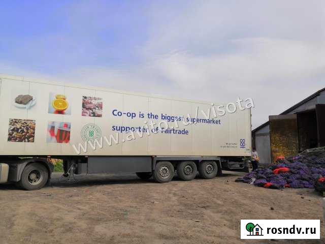 Склад 3330 кв.м. Новосибирск - изображение 1