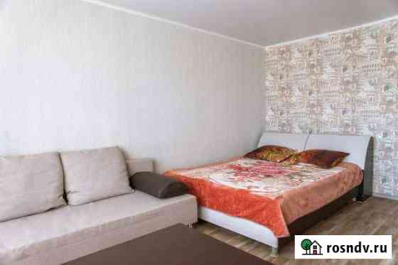 1-комнатная квартира, 46 м², 8/9 эт. в аренду посуточно в Арзамасе Арзамас