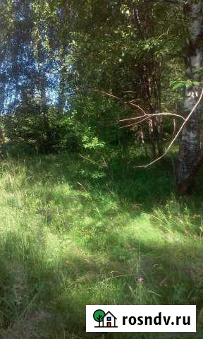 Участок ИЖС 12 сот. на продажу в Некрасовском Московской области Некрасовский - изображение 1