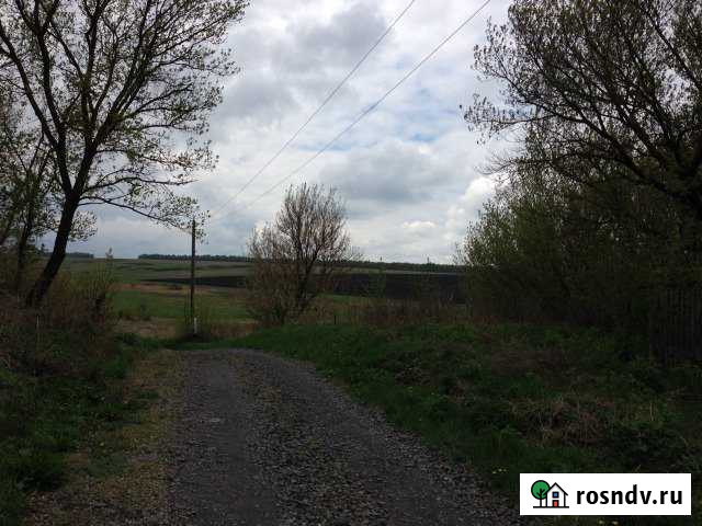 Дом 80 м² на участке 34 сот. на продажу в Репьевке Репьевка - изображение 1