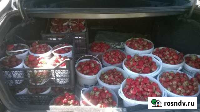 Участок СНТ, ДНП 6 сот. на продажу в Междуреченске Самарской области Междуреченск - изображение 1