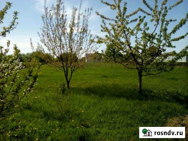 Участок ИЖС 25 сот. на продажу в Ракитном Ракитное - изображение 1