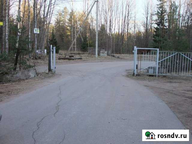 Участок ИЖС 12 сот. на продажу в Выборге Выборг - изображение 1