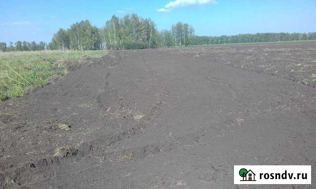 Участок СНТ, ДНП 1000 сот. на продажу в Ордынском Ордынское - изображение 1