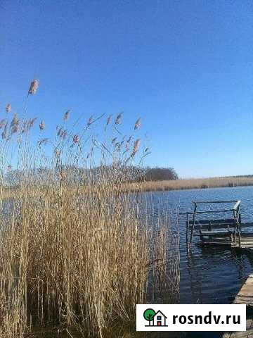 Участок ИЖС 30 сот. на продажу в Ладожской Ладожская - изображение 1